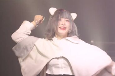 241103 NEKIRU & WAGAON 2MAN LIVE 「NEKAON」 네키루 2부