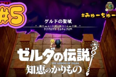 ゲルドの聖域【ゼルダの伝説 知恵のかりもの #5】