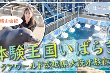 いばらき推し「体験王国いばらき～アクアワールド茨城県大洗水族館②～（大洗町）」【出演：横山由依】