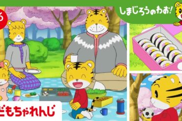 【16分アニメ】お花見🌸 さくらを見ながら、手作りお弁当おいしいな♪ | わが家の味・家庭の味・家族のきずな | しまじろうのわお！アニメ | しまじろうチャンネル公式