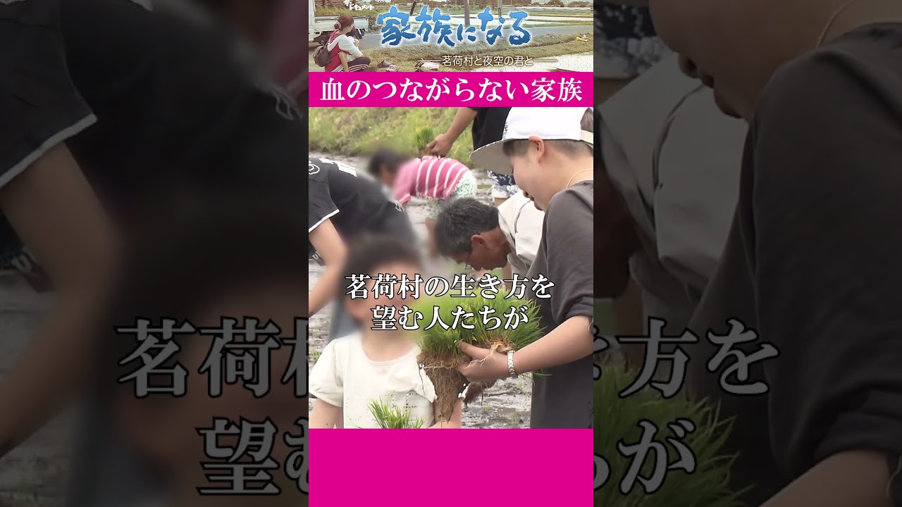 血のつながらない家族を作るわけとは・・・#shorts #カンテレ #ドキュメンタリー#家族になる 血のつながらない家族を作るわけとは・・・#shorts #カンテレ #ドキュメンタリー#家族になる