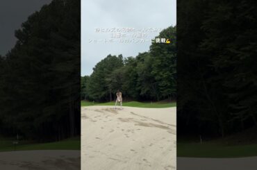 高木由梨奈が静ヒルズ名物ホール風のバンカーにチャレンジ⛳　#golf#ゴルフ#ゴルフ女子#ゴルフ練習＃セントフォースゴルフクラブ#高木由梨奈