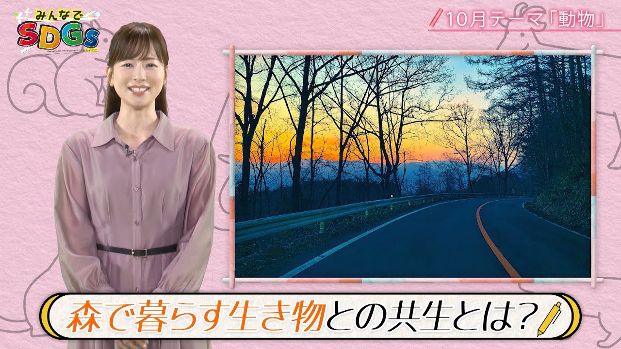 みんなでSDGs #29 |2024年10月17日放送 みんなでSDGs #29 |2024年10月17日放送