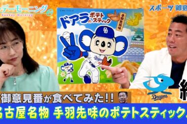 【御意見番が食べてみた12球団球場お土産編 】中日編名古屋名物！手羽先味のポテトスティック！