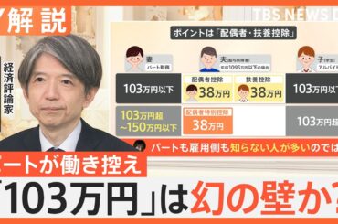 103万円は“幻の壁”か？ 年収1万円増で負担500円、専門家「配偶者特別控除を知らない人が多いのでは」【Nスタ解説】｜TBS NEWS DIG