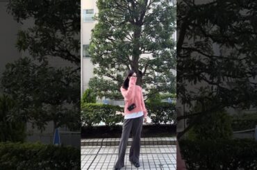 休日の私服はラフなアイテムしか着たくない😚✌️✌️ #おすすめ #oggi #古畑星夏 #私服 #ootd #秋服 #lookbook #ショート #せいかのシンプル