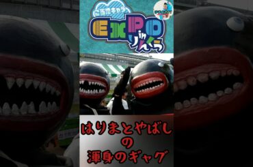 【はりまとやばし】渾身の一発ギャグ #ゆずよさTV #はりまとやばし#ご当地キャラEXPOinりんくう