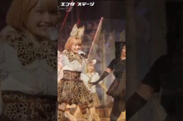 “けもフレ”10周年！新作舞台「けものフレンズ」JAPARI STAGE！～きみのあしおとがまたきこえた～ ダイジェスト #shorts #けものフレンズ