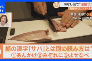 “海なし県”埼玉で陸上養殖で育てた「温泉サバ」をご紹介！アニサキスの心配なし！生の刺身でいただきます！【すたすた中継】｜TBS NEWS DIG