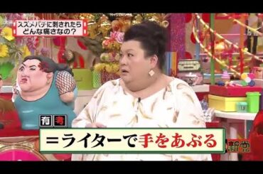 【マツコ&有吉の怒り新党】´꒳`🅗🅞🅣   💝「=ライターで手をあぶる」