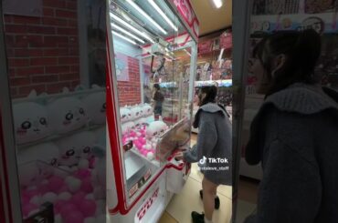 ちいかわさん🥹🙏#スタラブ #スターチスのラブレター #アイドル