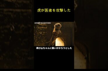 虎が医者を攻撃した