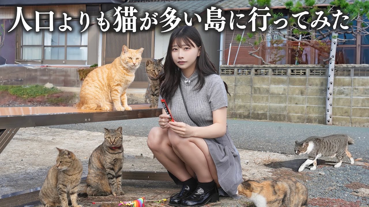 人口より猫が多い猫島に行ったら、想像以上に猫まみれだった… 人口より猫が多い猫島に行ったら、想像以上に猫まみれだった...