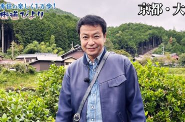 【BS11】第7回『シュガーロード・長崎でご当地グルメを堪能！』「中山秀征の楽しく１万歩！街道びより」アンコール放送見逃し配信（11月13日放送分）