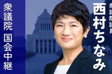 2024年11月11日 衆議院 本会議