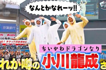 【なんとかなれーッ!!】小川（ちいかわ）パジャマパーティーズ【ダンス対決】