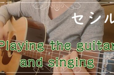 #Shorts Guitar & Singing＿セシル（浅香  唯）