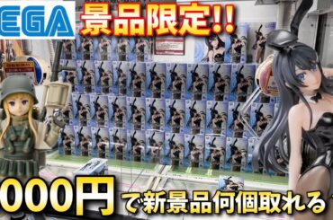5000円でSEGAプライズ景品何個取れるのか？やってみた結果【ベネクス川越】【クレーンゲーム】