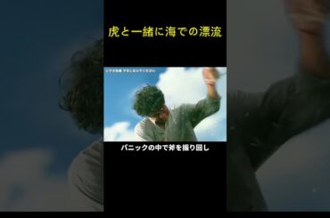 虎と一緒に海での漂流