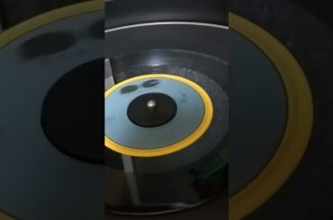 プリテンダー　　岩崎良美さん