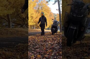 NMAXと過ごした３年間を松本梨香さんの「Alive A life」で振り返る