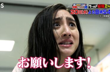 愛する男のために…1億8000万円横領した女に待ち受けていたのは…『ワールド極限ミステリー』11/20(水)【TBS】