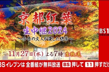 【生放送】京都紅葉生中継2024　11月27日（水）よる7時（BS11）