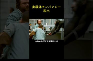 実験体チンパンジー脱出