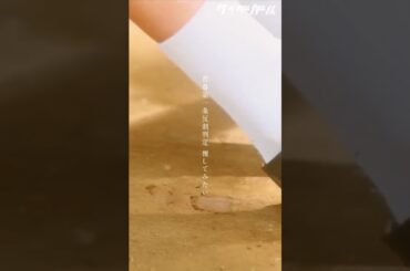 青春第一条反則判定 覆してみたい #サイダーガール #エバーグリーン #邦ロック #池間夏海  #shorts