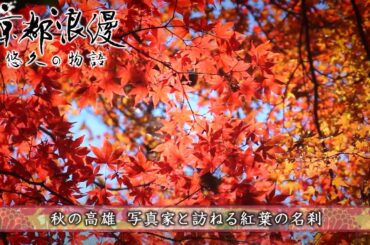 【BS11/KBS京都】「京都浪漫　悠久の物語」第157回「秋の高雄 写真家と訪ねる紅葉の名刹」（BS11で2024年11月11日放送分）