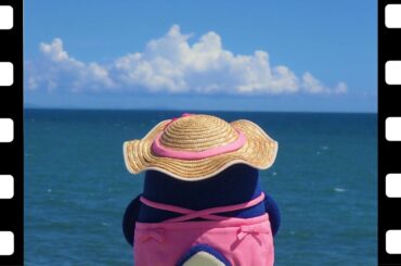 ぴっころちゃんねる　にこにこ・ぷん詞集　この海のむこうに