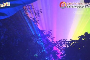 キュンと！「特集 消費の拡大を促す“夜の経済”」 | KBS京都テレビ（2024年11月15日放送分）
