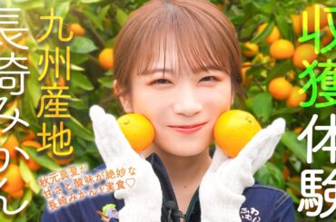 秋元真夏が長崎みかんの収穫体験！味の濃い長崎みかんの秘密に迫る！