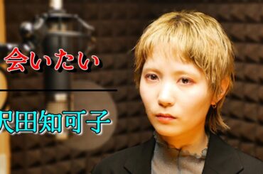 【会いたい 】沢田知可子（Covered by ひなの）【歌詞付き】【歌ってみた】【懐メロ】