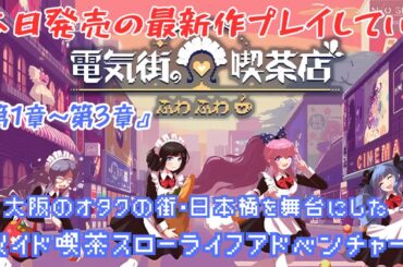 【電気街の喫茶店】遂に本日発売、楽しみにしてた最新作！！大阪のオタクの街・日本橋を舞台にした『メイド喫茶スローライフアドベンチャー』