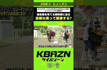 高額な馬って緊張する！？｜KBAZN（ケイバゾーン）｜#dazn  #jra  #競馬  #横山武史 #大久保嘉人 #佐藤大宗 #ちゃんぴおんず #横山ルリカ