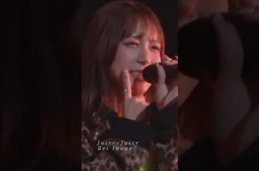 #ソロアングル で 2024/11/19 日本武道館公演までカウントダウン #あと1日 #juicejuice #井上玲音 #shorts