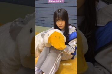 山下瞳月 アヒルを慰めるしーちゃん♪ そこ曲がったら櫻坂 真夏の大運動会