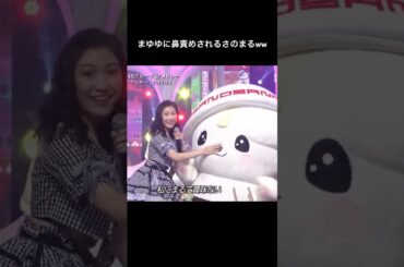 まゆゆに鼻責めされるさのまる #渡辺麻友