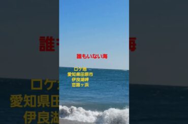 #岩崎良美 by 誰もいない海#4#愛知県田原市伊良湖岬恋路ヶ浜#飯田市なんじゃもんじゃ #IidacitynaganoJapan