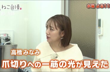 11/27(水)よる11時「ねこ自慢」猫と美容スペシャル！高橋みなみ・倉持明日香がお手入れのプロに爪切りとシャンプーのコツをきく！