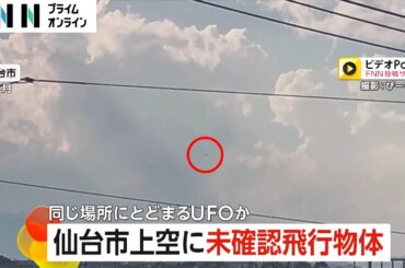 【UFO】仙台市上空に未確認飛行物体が…専門家「ドローンではない」が…チョウゲンボウ？