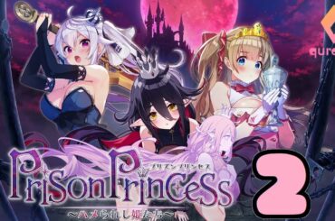 Switch「プリズンプリンセス ハメられし姫たち」#2 ネタバレ注意 初見実況プレイ