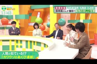 中居正広の土曜日な会  2024年11月23日🅵🆄🅻🅻🆂🅷🅾🆆【1080pHD】