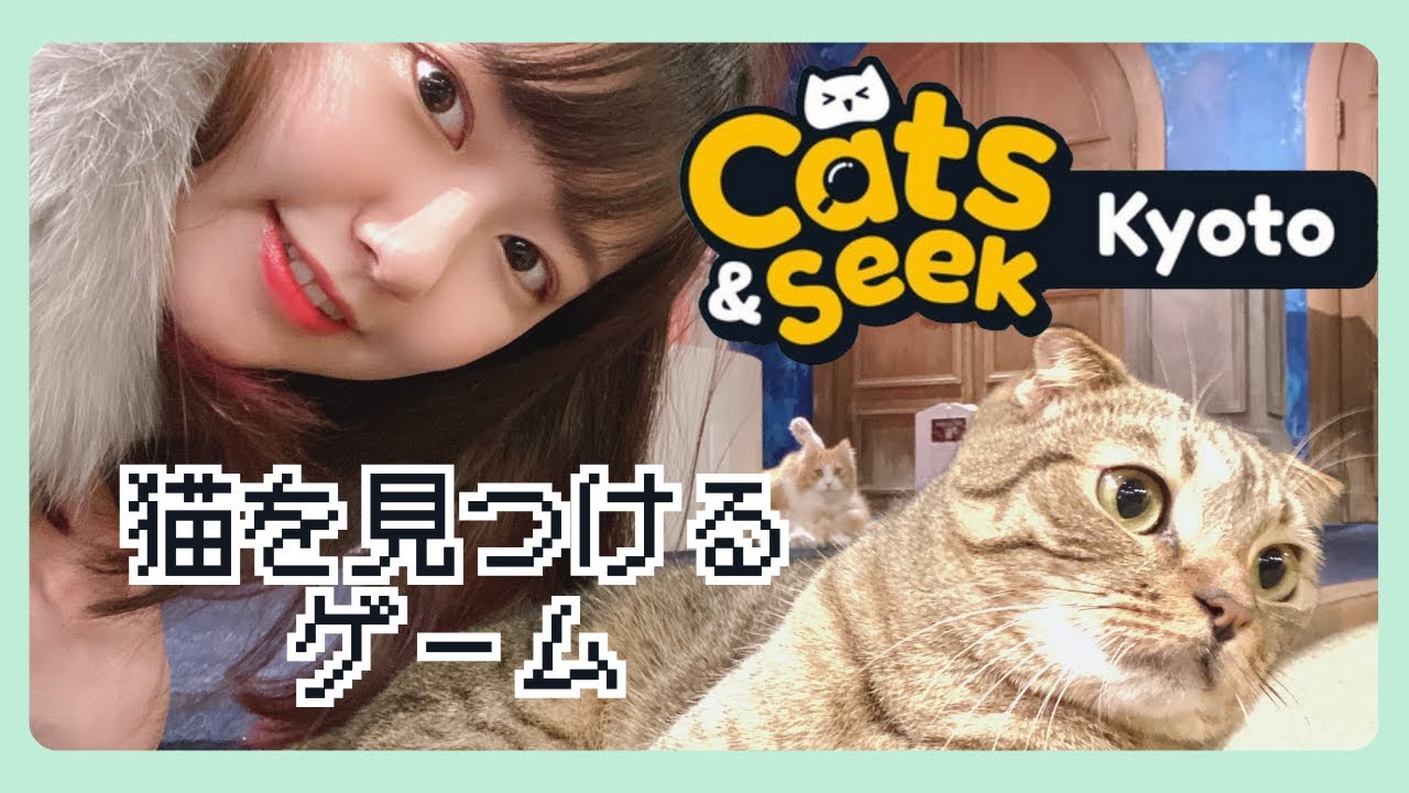 【Cats and Seek: Kyoto】京都でようけネコチャン探しますえ 【Cats and Seek: Kyoto】京都でようけネコチャン探しますえ