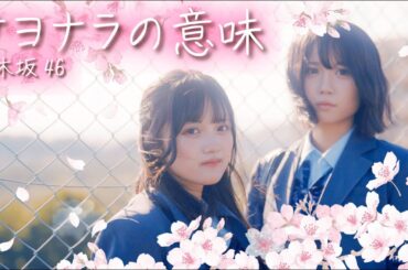 【みなつまほこ卒業MV】サヨナラの意味 / 乃木坂46【みなまほ卒業week】