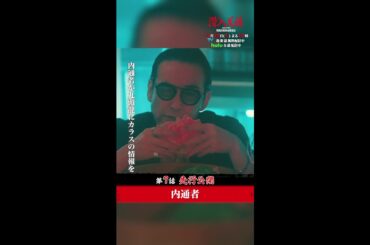 内通者は誰だ？💥 #潜入兄妹 #第7話 #先行公開 11月16日(土)よる10時！#竜星涼 #八木莉可子 #藤ヶ谷太輔 #shorts