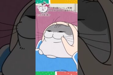 #short #shorts #キュルガ #夜は猫といっしょ #猫 #アニメ #人気の動画 #アニメ