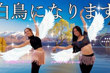 【スペシャルコラボ】社交ダンサーが他ジャンルに挑戦！〜ベリーダンス編