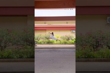 濱岸ひより 写真集発売まであと9日！バレエひよたんの華麗なる舞♪さらっとビーサンで飛んじゃうひよたん凄すぎ！1st写真集『もしも』12月3日発売！